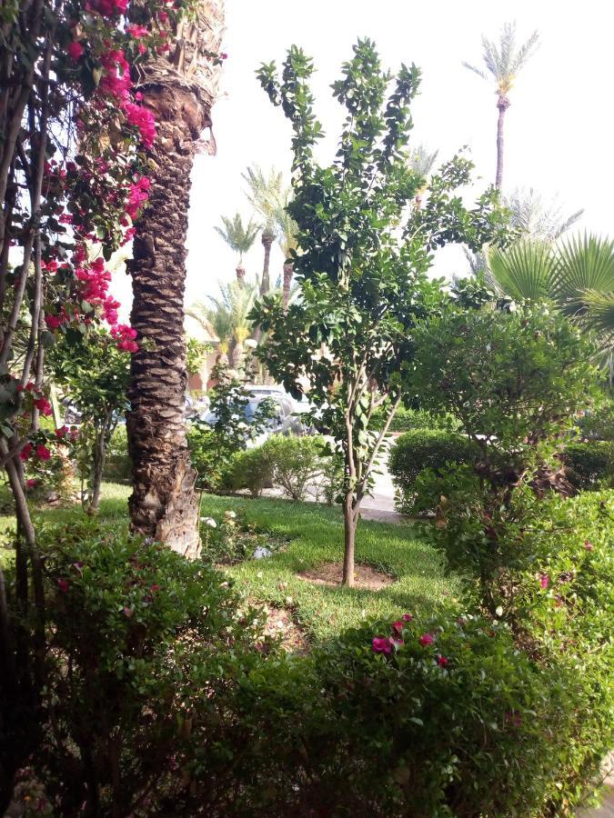 מרקש Riad Omar מראה חיצוני תמונה
